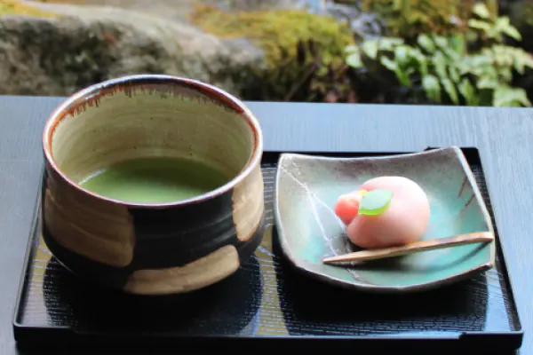 Matcha Experience at Ungai