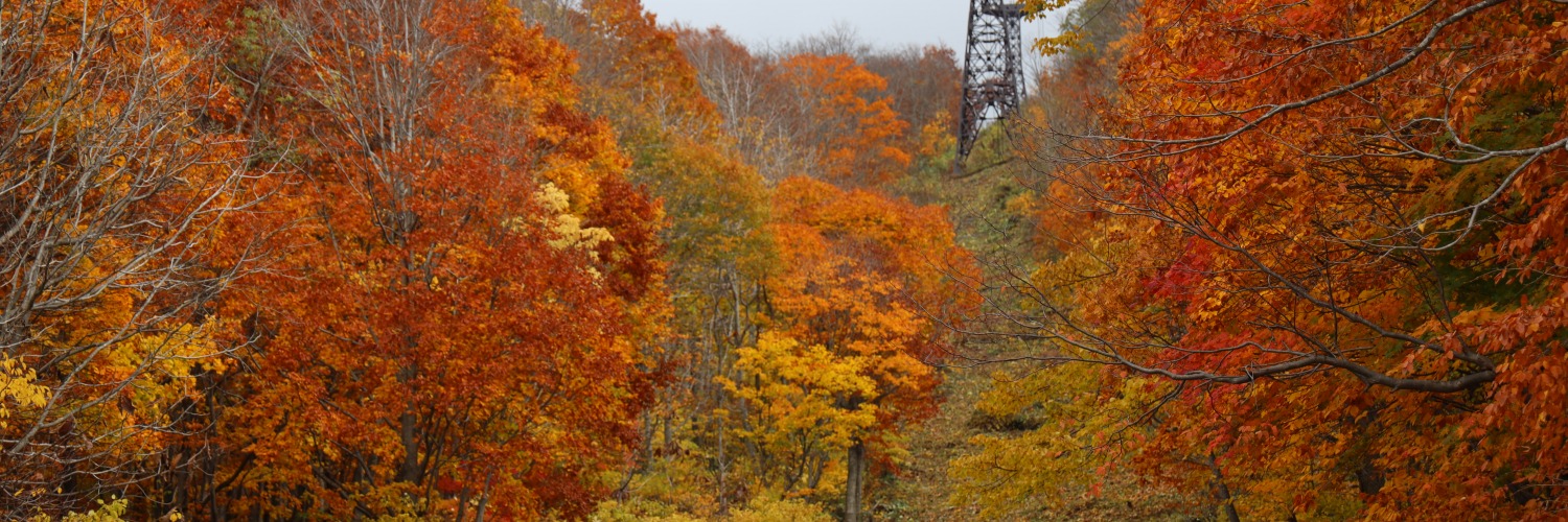 紅葉スポット 北東北編 青森屈指の紅葉スポット4選 特集 旅東北 東北の観光 旅行情報サイト