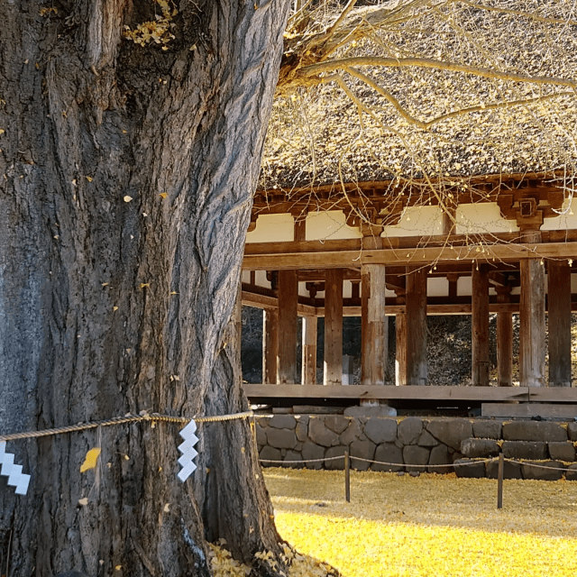 新宮熊野神社