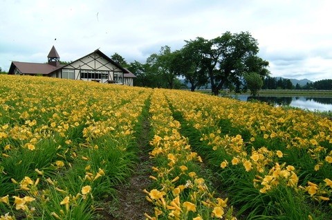 手作りの花畑 はながさの丘 東北の観光スポットを探す 旅東北 東北の観光 旅行情報サイト