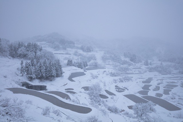 冬、一面の雪に覆われる【pixta】