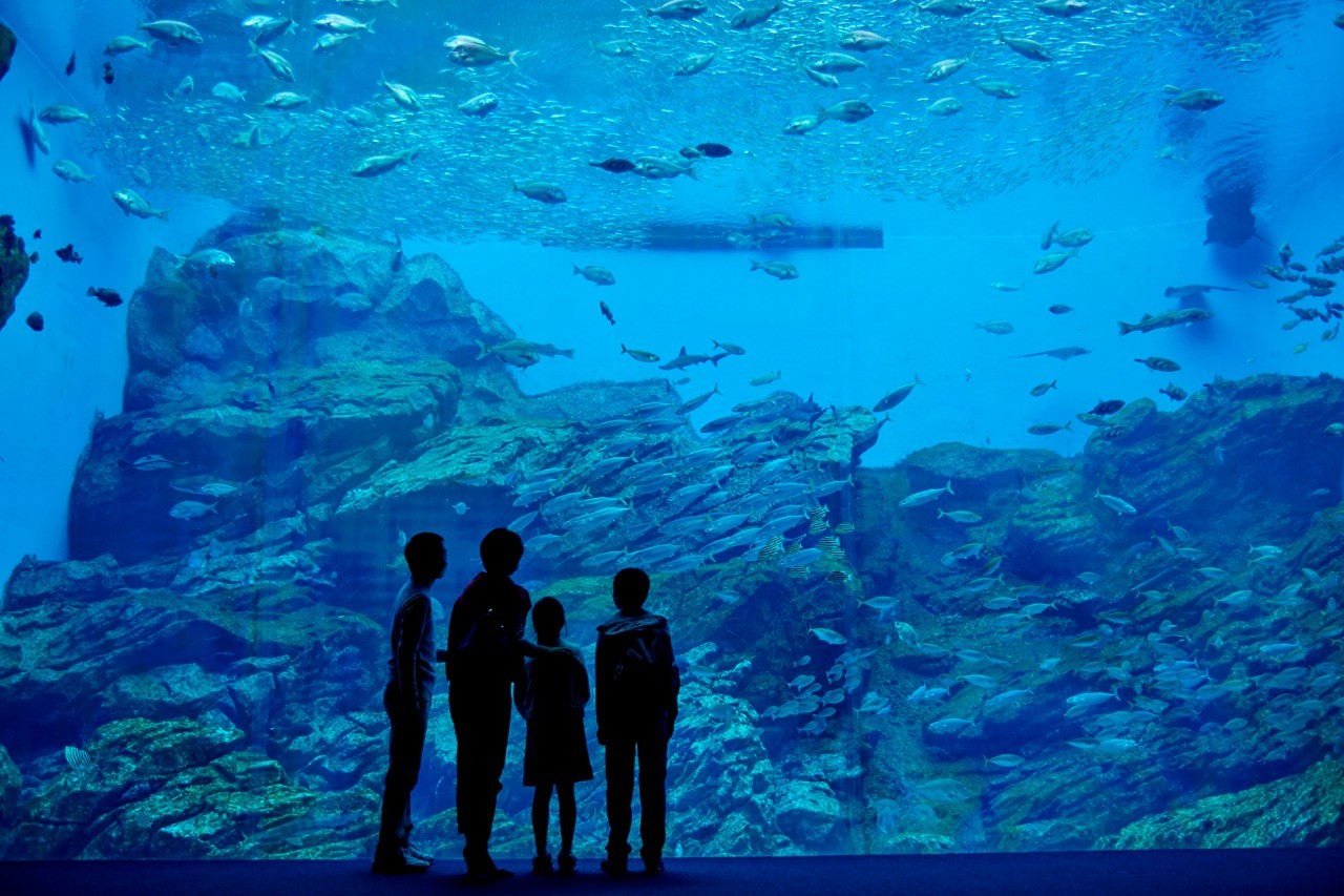 仙台うみの杜水族館 学習 体験スポットを探す 東北まなび旅 東北の修学旅行 教育旅行サイト