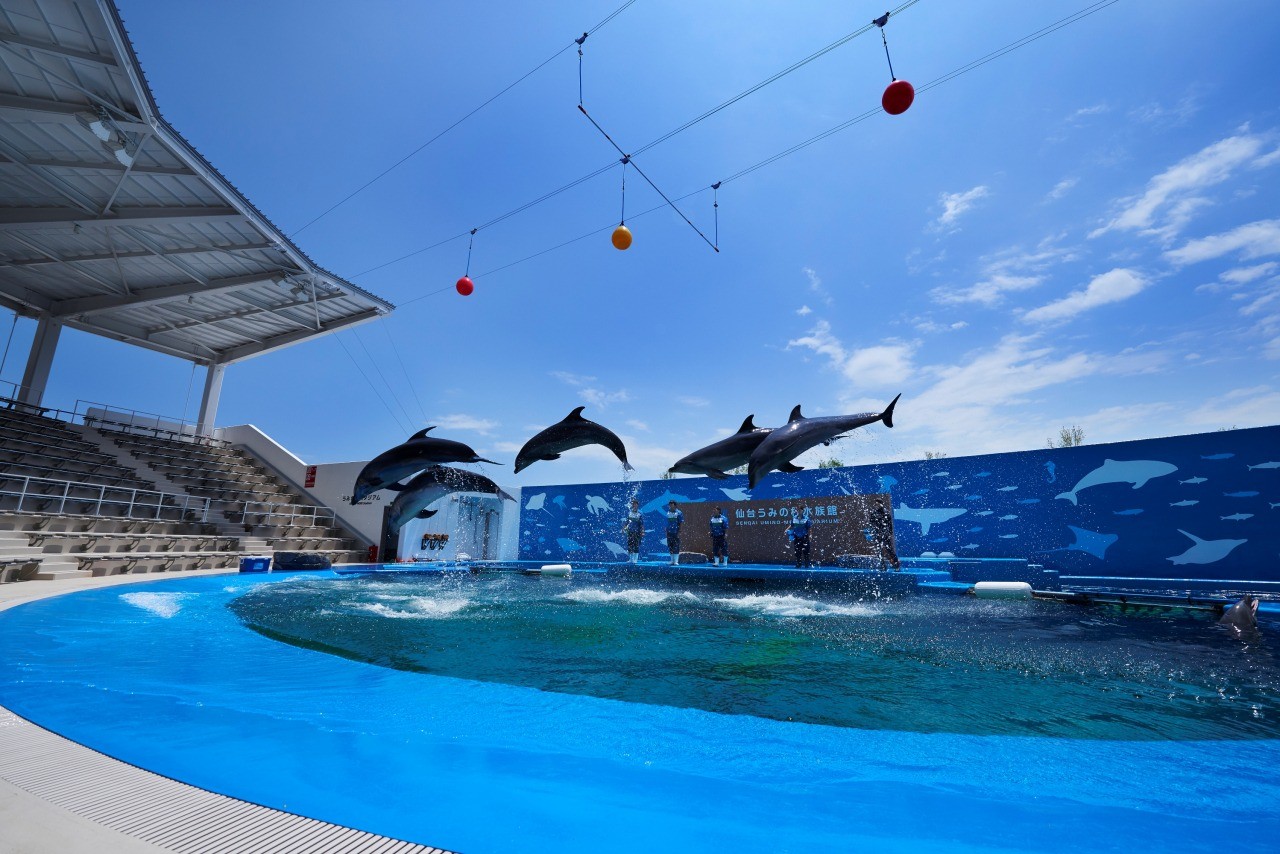 仙台うみの杜水族館 学習 体験スポットを探す 東北まなび旅 東北の修学旅行 教育旅行サイト