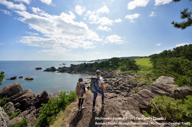 Michinoku Coastal Trail (Tanesashi Coast)