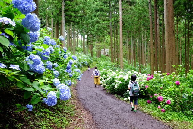 PIXTA_67253023