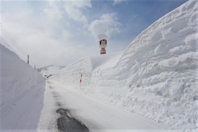 2019ドカ雪大雪割キャンペーンチラシ　裏