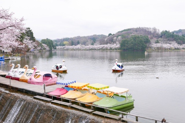 観光スポット・イベント情報（東北DC観光素材集）