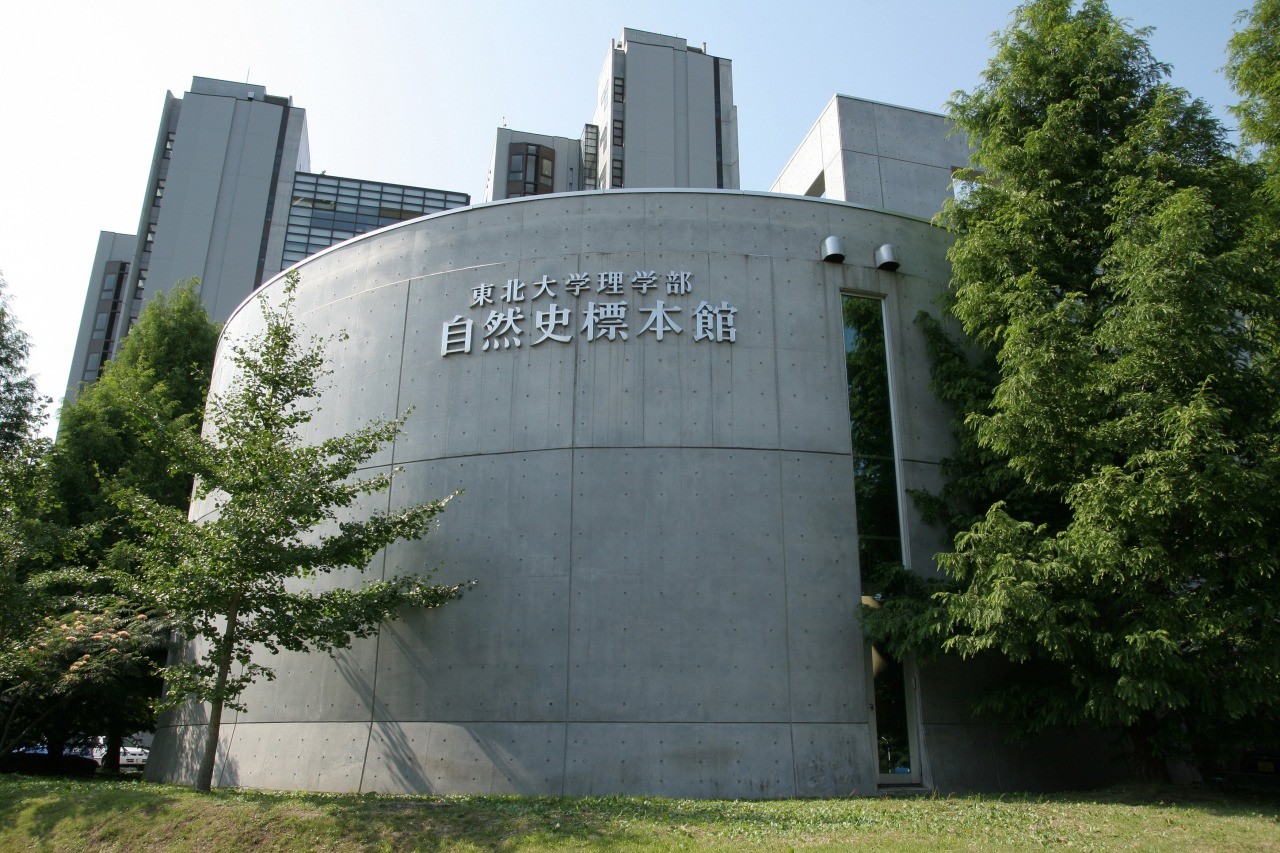 東北大学総合学術博物館 理学部自然史標本館 東北の観光スポットを探す 旅東北 東北の観光 旅行情報サイト